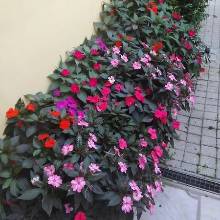 Incantomare Apartmán *