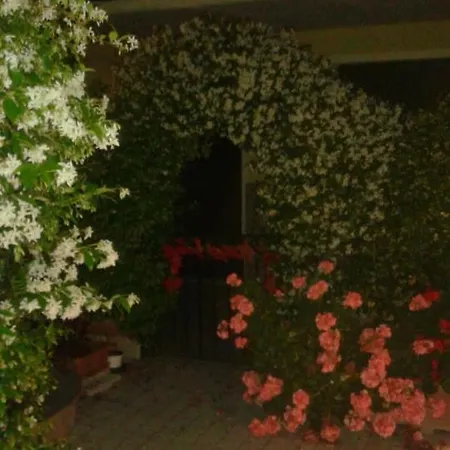 Apartment Incantomare